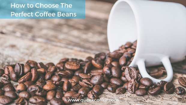 6 Tips to Choose The Perfect Coffee Beans